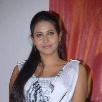 Panchi Boora - Akasame Haddu Audio Launch Pictures | Picture 55450